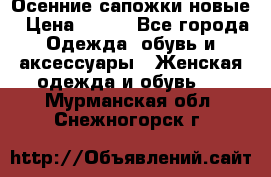 Осенние сапожки новые › Цена ­ 600 - Все города Одежда, обувь и аксессуары » Женская одежда и обувь   . Мурманская обл.,Снежногорск г.